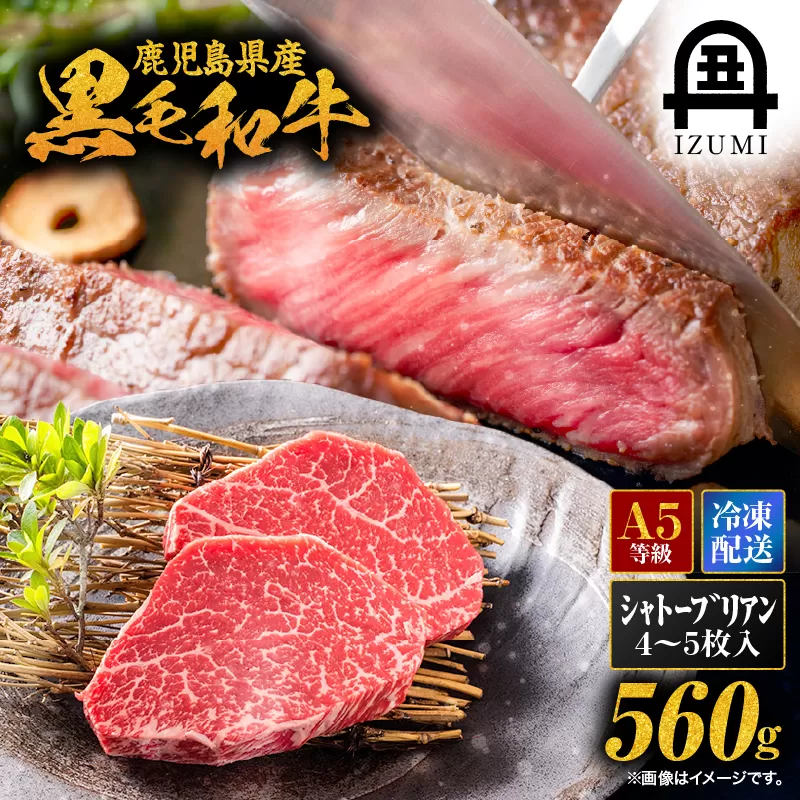 506-1 鹿児島県産黒毛和牛シャトーブリアン4〜5枚入（約560g）