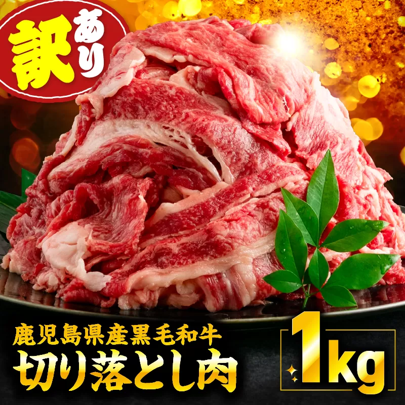 [訳あり]鹿児島県産 黒毛和牛 切り落とし肉 1kg(500g×2P)