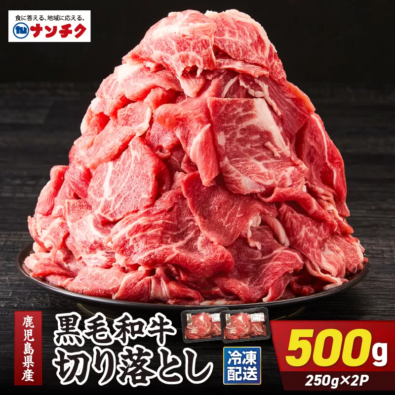 鹿児島県産 黒毛和牛 切り落し 計500g