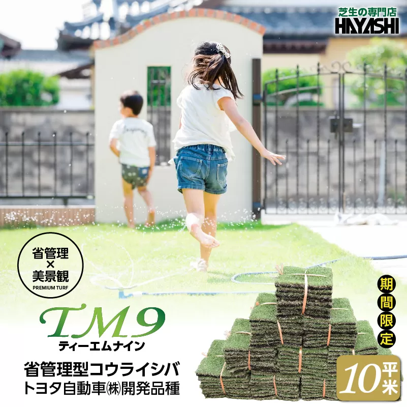 TM9（ティーエムナイン）省管理型コウライシバ トヨタ自動車(株)開発品種 10平米