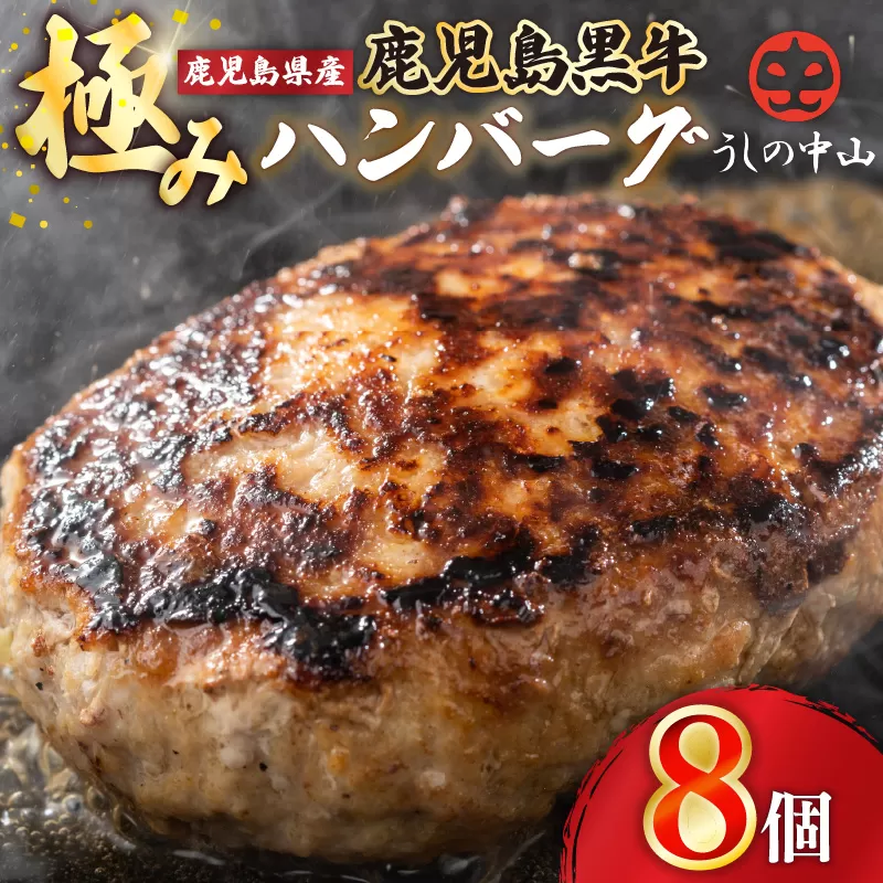 1104 鹿児島県産『鹿児島黒牛』極めたハンバーグ8個