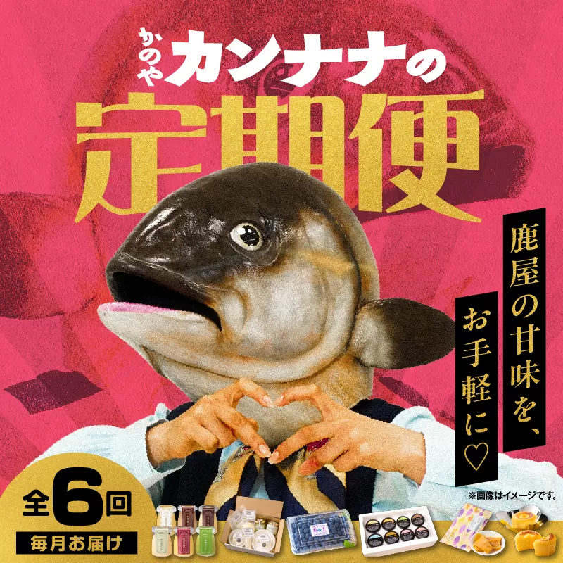 [全6回]鹿屋カンナナ便