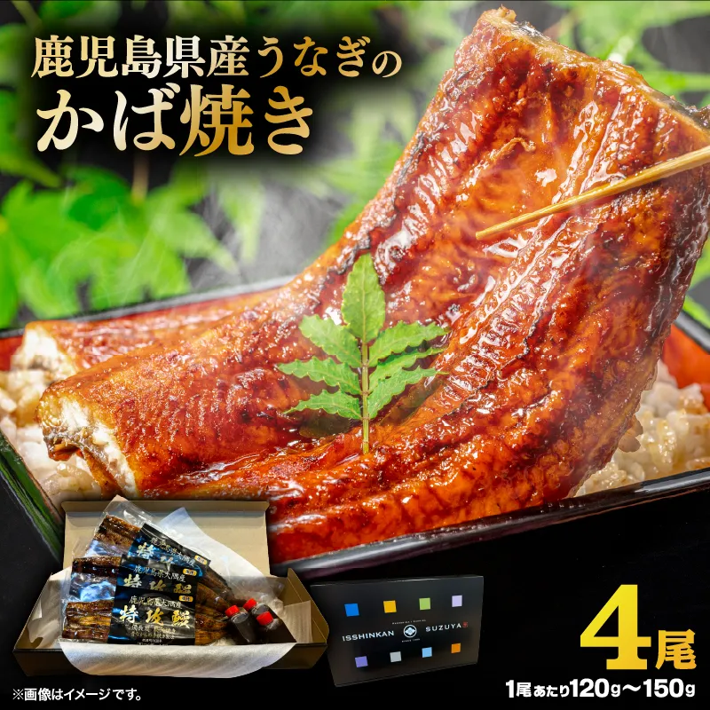 鹿児島県産うなぎのかば焼き 4尾