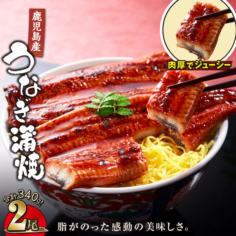 [10/1(木)より寄附金額改定予定]1121-4 鹿児島産うなぎ 合計340g(170g×2尾) 清らかな地下水育ち!