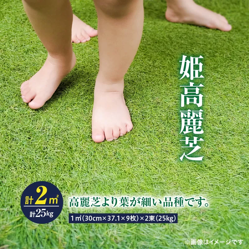 【10月から5月に発送】姫高麗芝（2平方メートル）