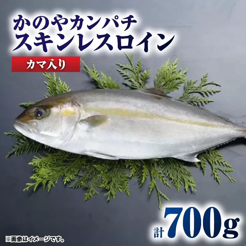 174-1 かのやカンパチロイン（カマ入）