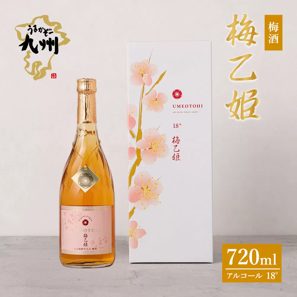 うまかぞー九州 本格梅酒 梅乙姫 720ml 梅酒