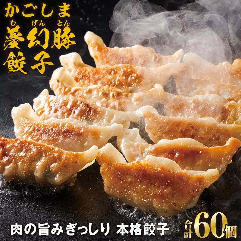 2773 かごしま夢幻豚餃子 12個×5P