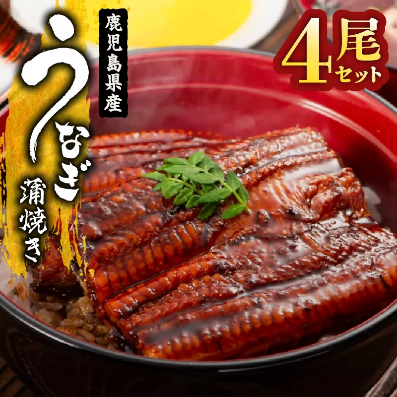 1652-1 鹿児島県産 うなぎ蒲焼き4尾セット