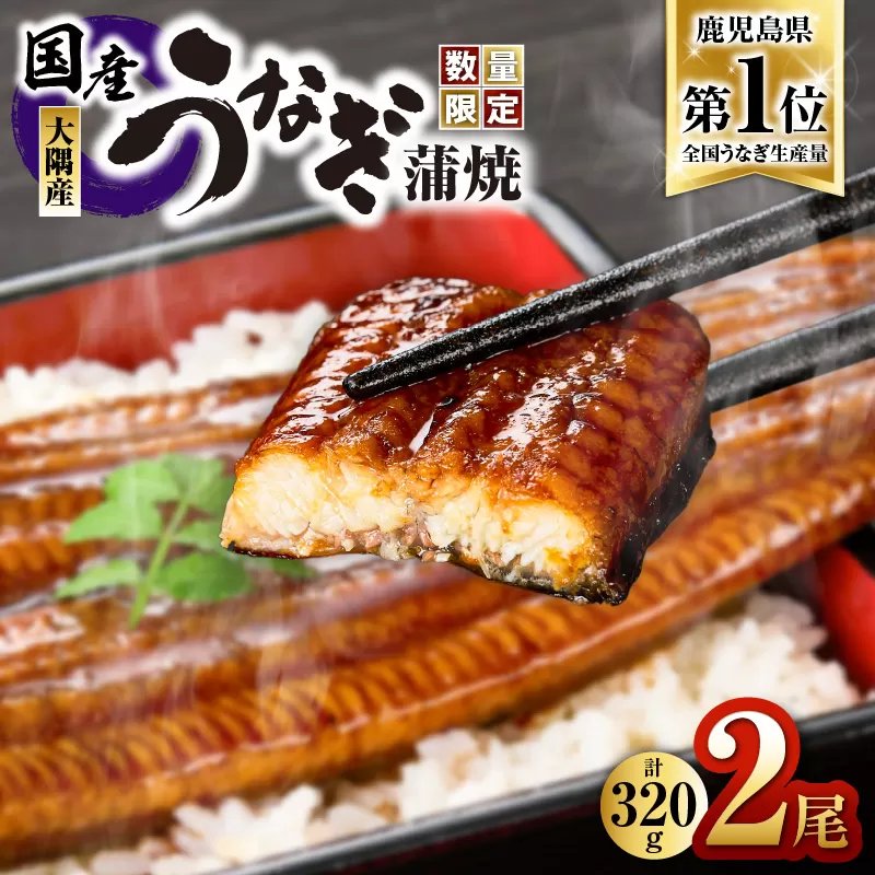 1541-1 【数量限定】鹿児島県大隅産うなぎ蒲焼2尾（320g）