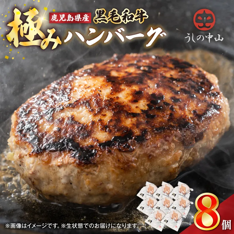 1104 鹿児島県産 黒毛和牛 極めたハンバーグ8個