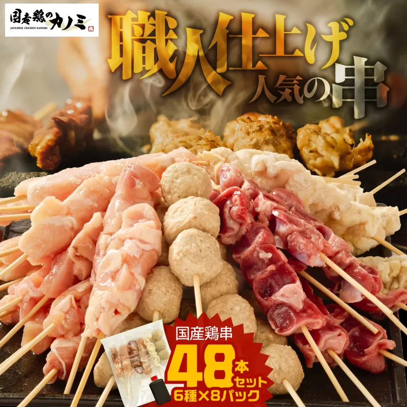 2458 国産 鶏串 48本セット（6種×8パック）