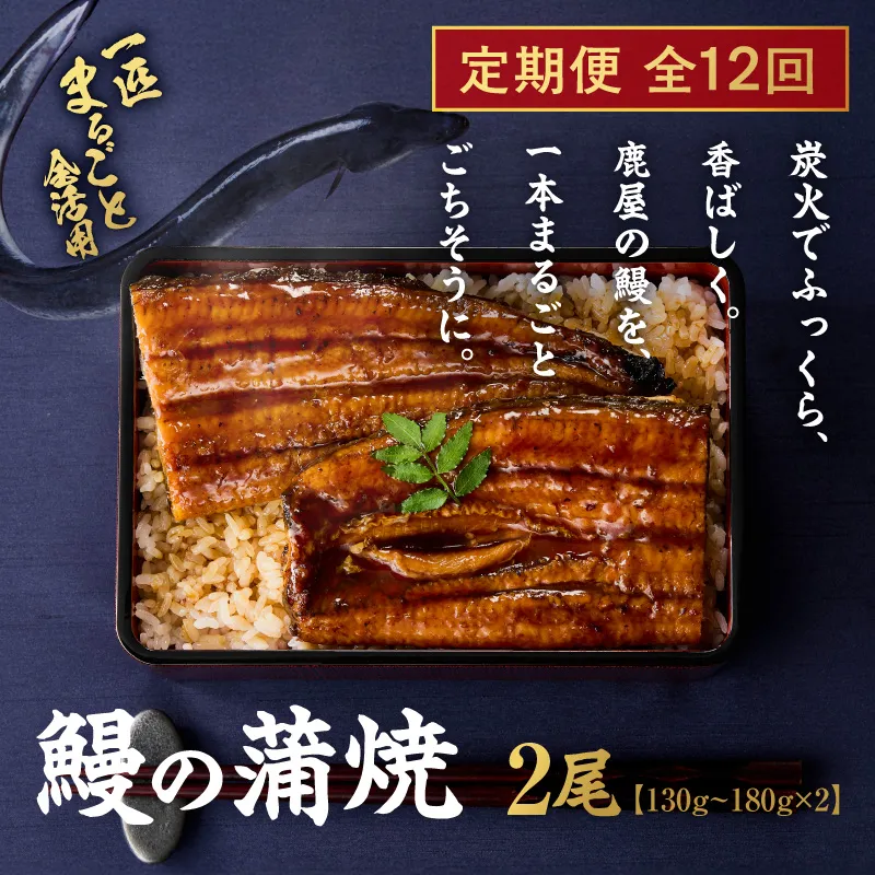 【全12回定期便】鰻の蒲焼 2尾(130g〜180g×2) KN026-T06