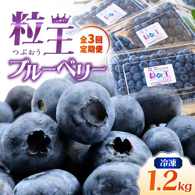 2467-1 【全3回定期便】(2ヶ月に1回お届け)粒王 ブルーベリー 1.2kg(400g×3P)
