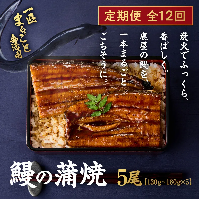 【全12回定期便】鰻の蒲焼 5尾(130g〜180g×5) KN026-T09