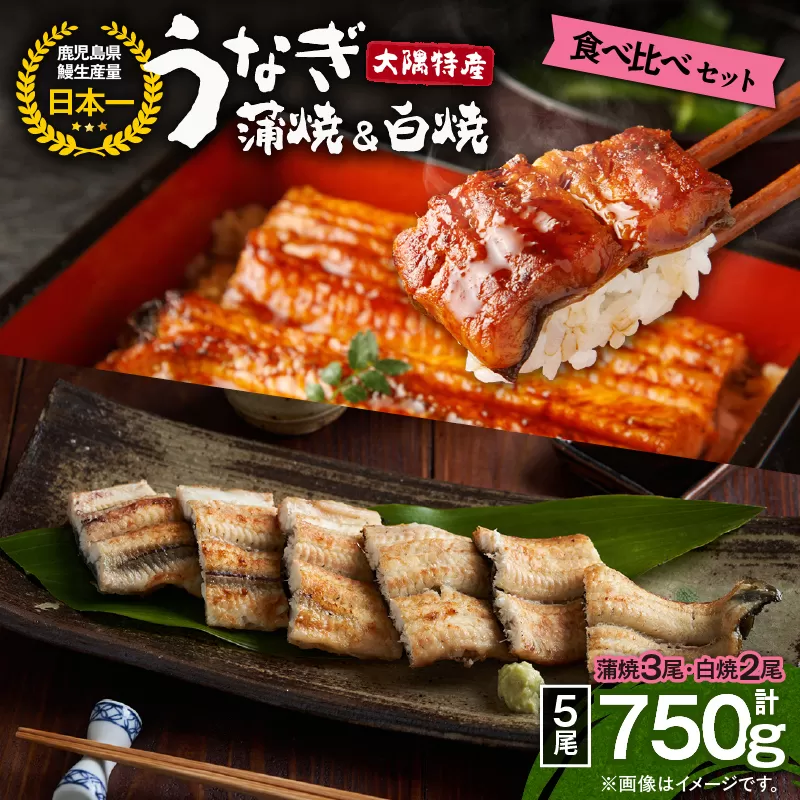 1879 大隅特産うなぎ蒲焼3尾（510g）・白焼2尾（240g）食べ比べセット