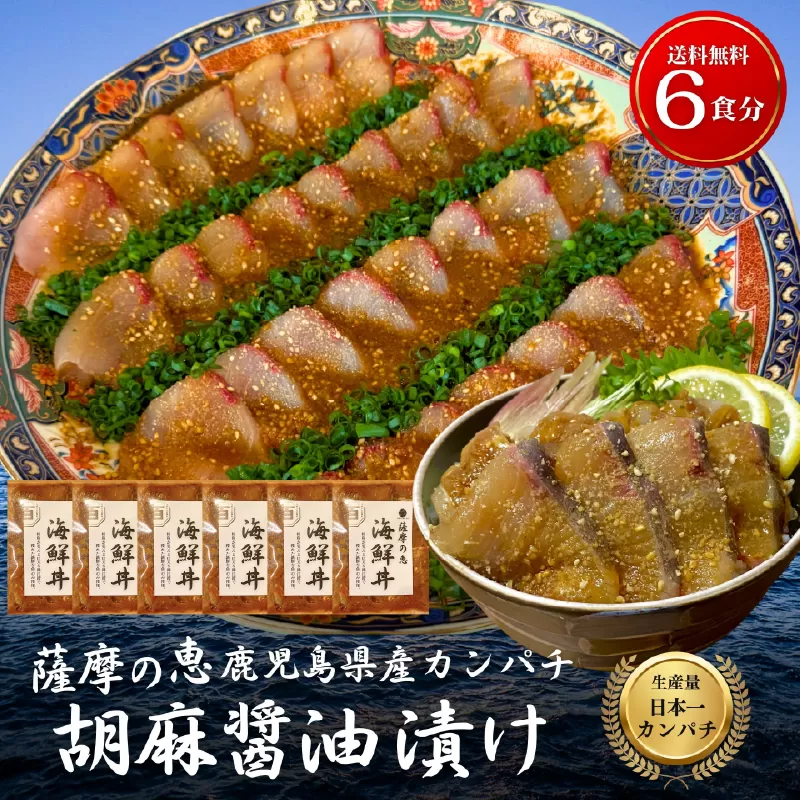 鹿屋市産 かんぱち 胡麻醤油漬け 海鮮丼セット 6食分
