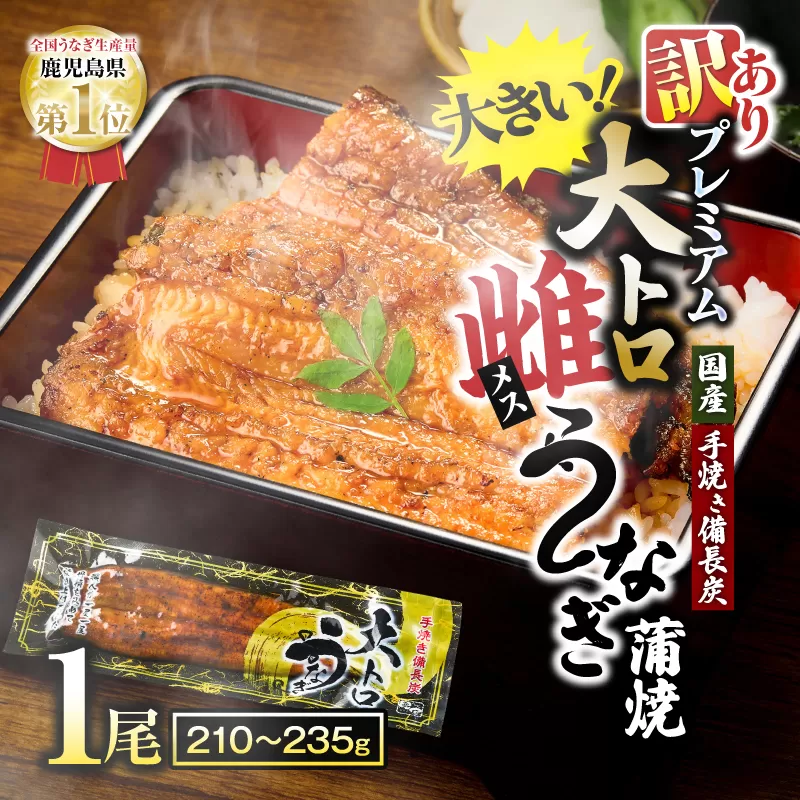 【訳あり（規格外）】プレミアム大トロ雌うなぎ蒲焼1尾（45尾サイズ：210〜235g）