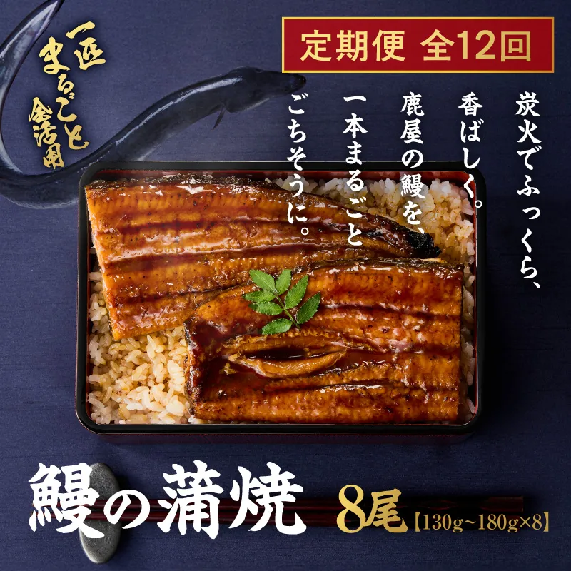 【全12回定期便】鰻の蒲焼 8尾(130g〜180g×8) KN026-T10