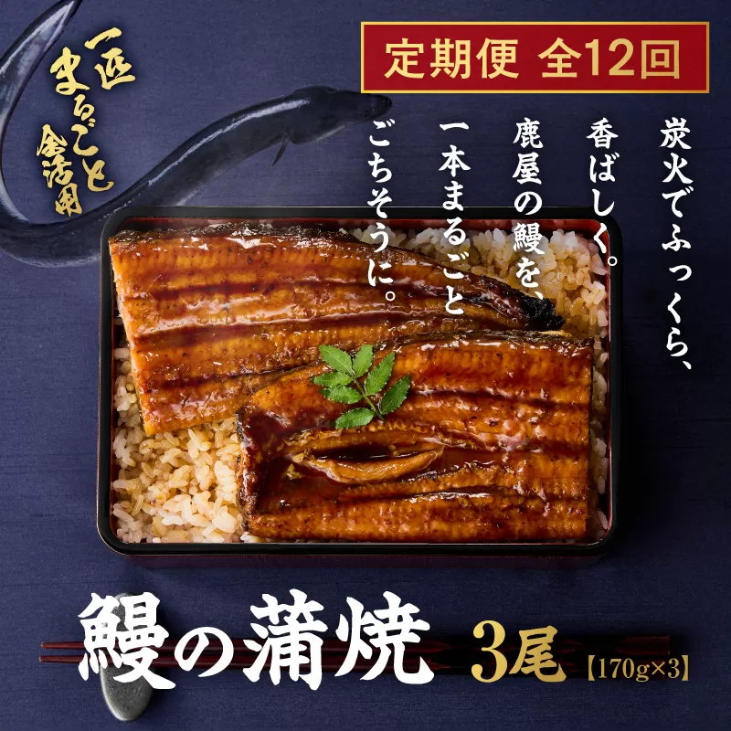 クラウドファンディングで応援！【全12回定期便】鰻の蒲焼 3尾（170g×3）　KN026-T07
