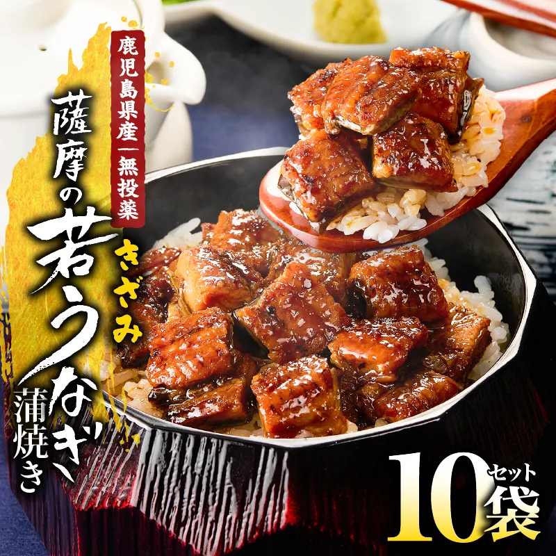 1655-1 鹿児島県産 きざみうなぎ蒲焼き10セット