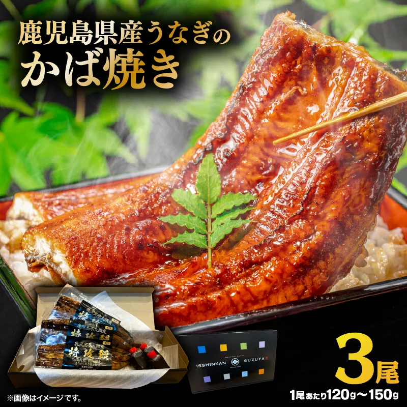 鹿児島県産うなぎのかば焼き 3尾