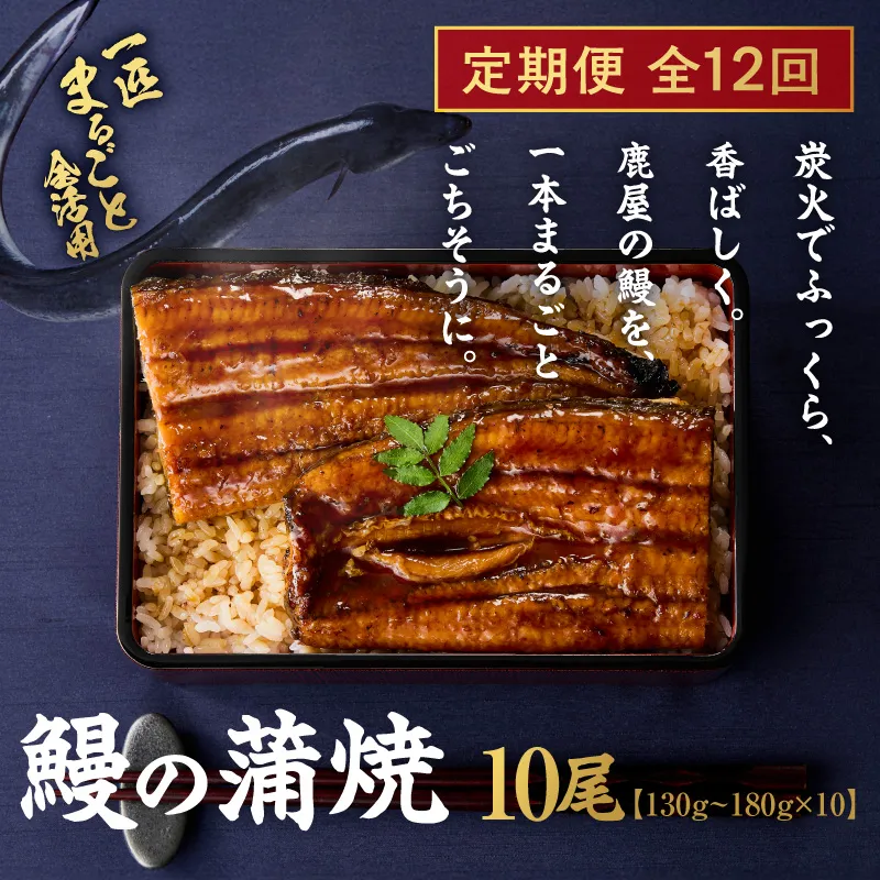 【全12回定期便】鰻の蒲焼 10尾(130g〜180g×10) KN026-T11