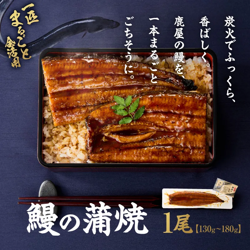 鰻の蒲焼 130g〜180g×1尾