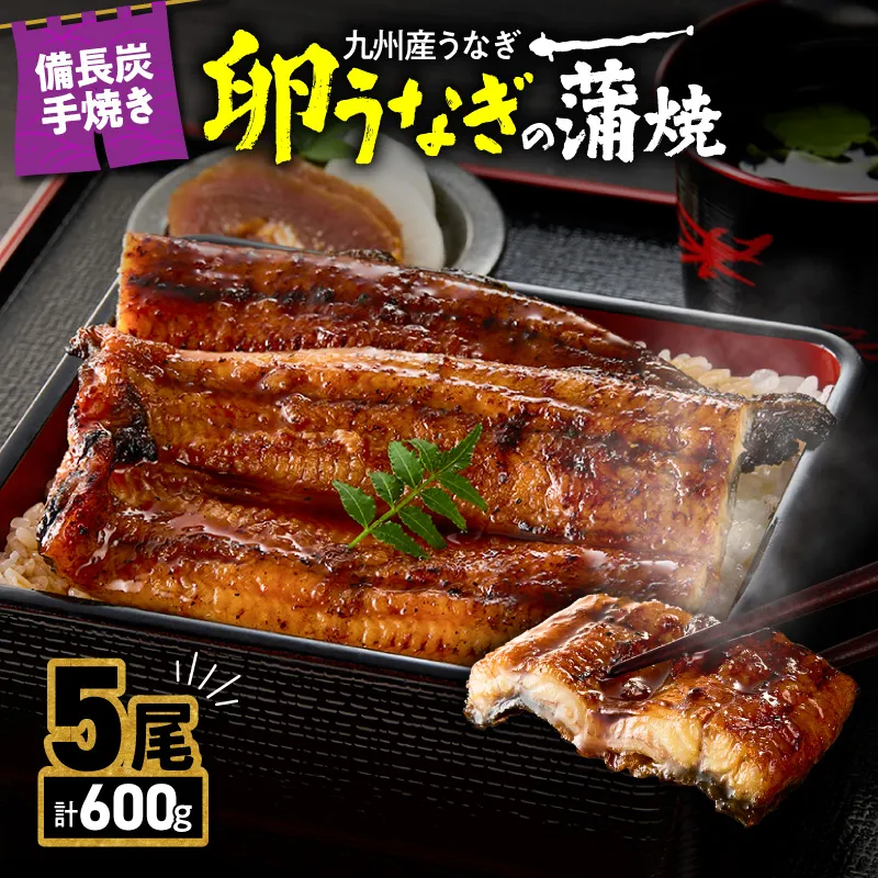 2900 九州産うなぎ 備長炭手焼『卵うなぎ』の蒲焼 5尾 計600g
