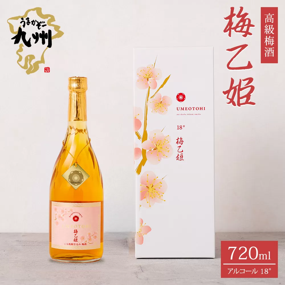 うまかぞー九州 本格梅酒 梅乙姫 720ml 梅酒