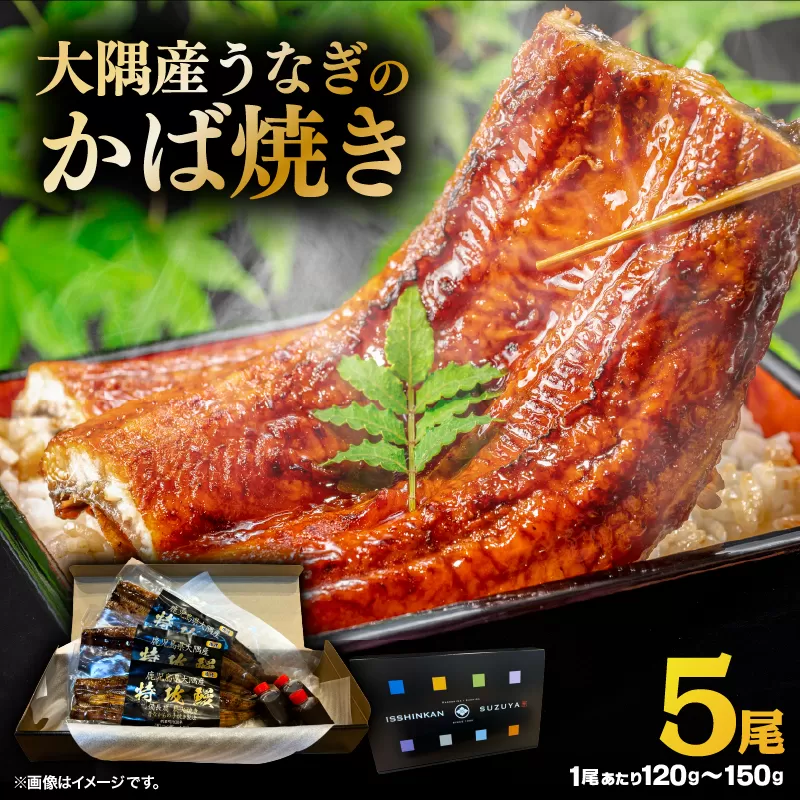 大隅産うなぎのかば焼き 5尾