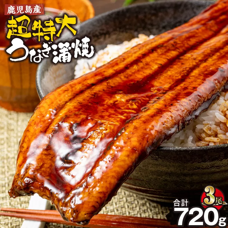 鹿児島産 超特大うなぎ蒲焼 240g×3尾