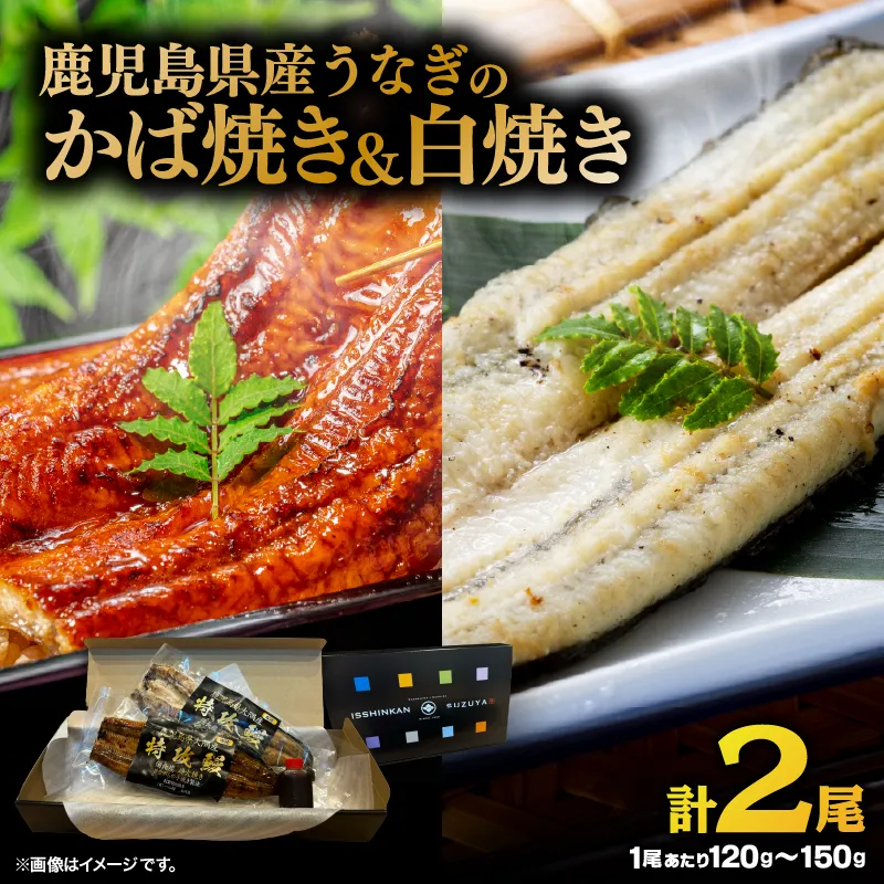鹿児島県産うなぎのかば焼き 1尾・白焼き 1尾