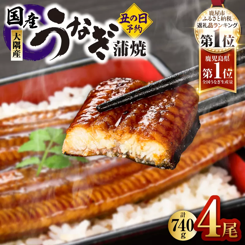 2870 【先行予約】【数量限定】鹿児島県大隅産うなぎ蒲焼4尾（740g）