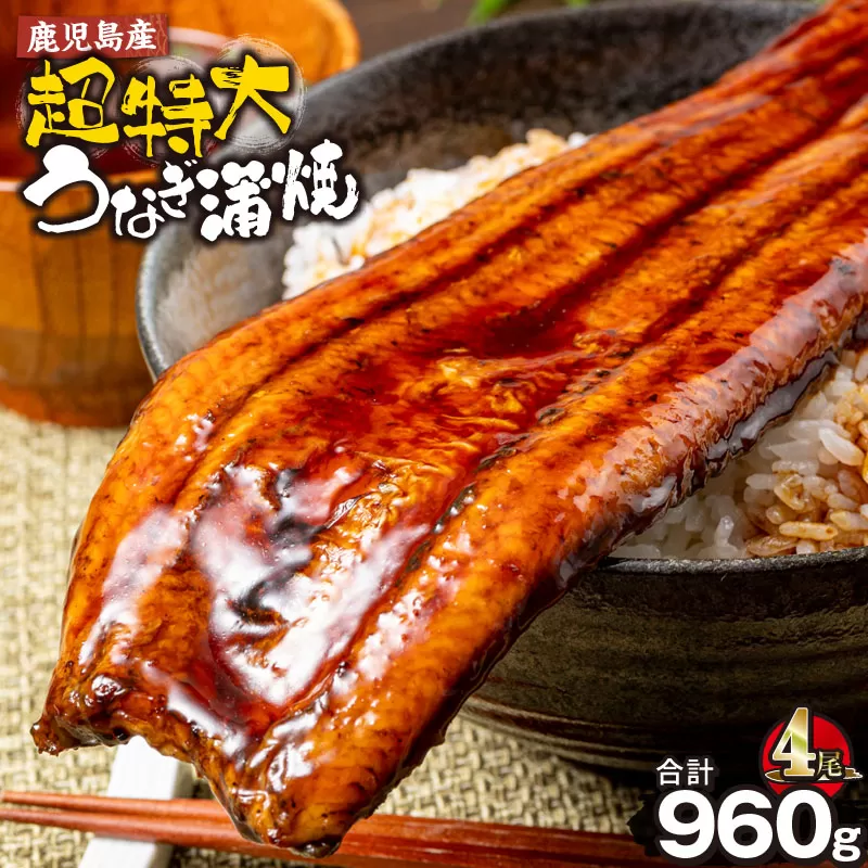 鹿児島産 超特大うなぎ蒲焼 240g×4尾