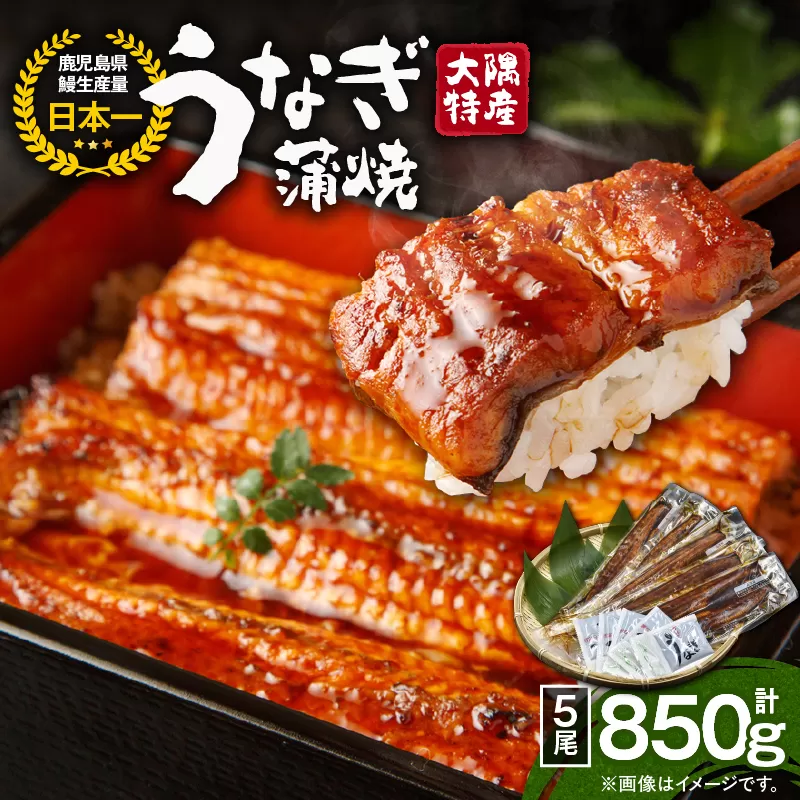 1389 大隅特産うなぎ蒲焼5尾（850g）