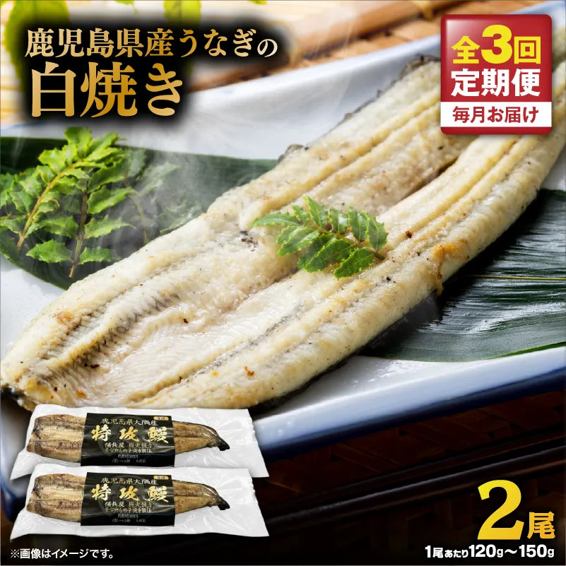 【全3回定期便】鹿児島県産うなぎの白焼き 2尾
