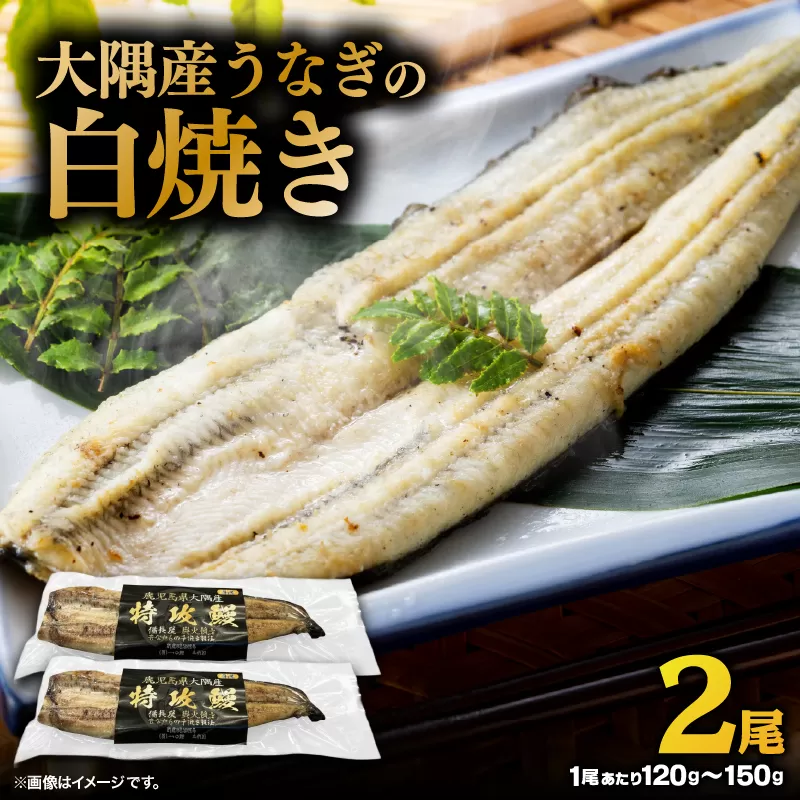 大隅産うなぎの白焼き 2尾