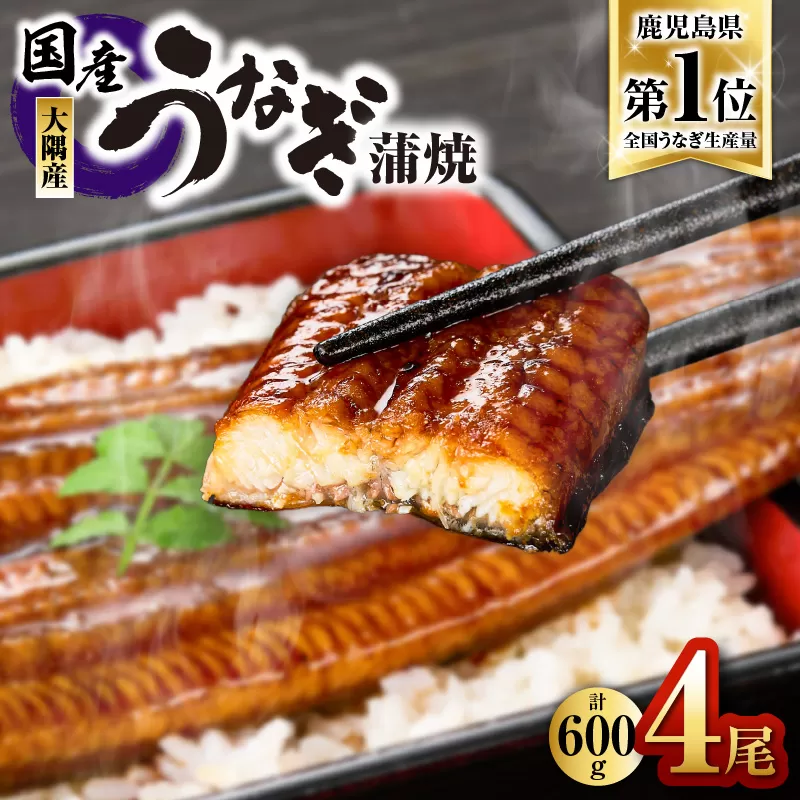 725-3 鹿児島県大隅産うなぎ蒲焼4尾（600g）セット