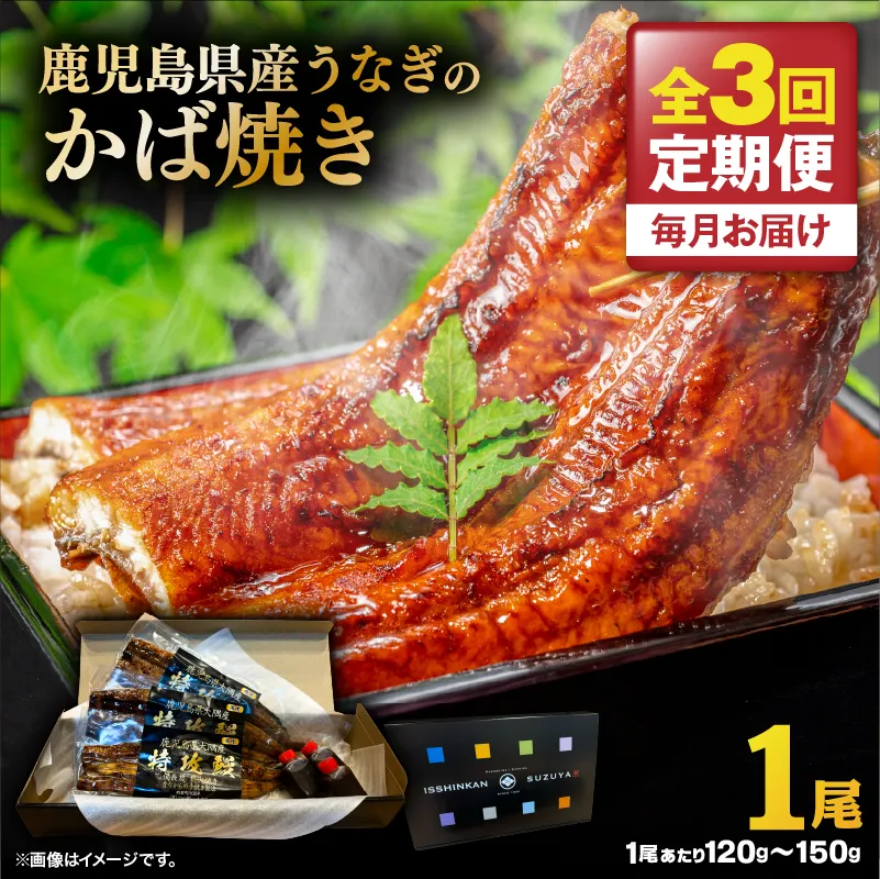 【全3回定期便】鹿児島県産うなぎのかば焼き 1尾