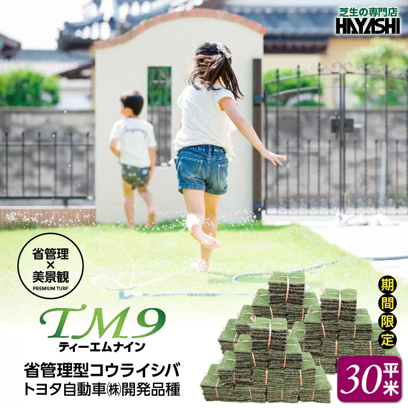 TM9(ティーエムナイン)省管理型コウライシバ トヨタ自動車(株)開発品種 30平米