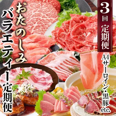 定期便(3回配送) お楽しみバラエティー定期便 LL-6017[1499420] _ 定期便 牛肉 お肉 かつお まぐろ 肉 ロース バラ スライス 赤身 ステーキ 切り落とし たたき 焼肉 ハンバーグ 鰹 黒豚 刺身