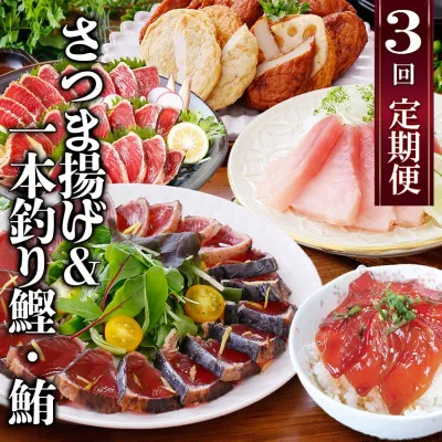定期便(半年で3回)さつま揚げ&鮮度抜群な一本釣りかつお・まぐろ　LL-6007【1462810】_ ふるさと納税 定期便 カツオ タタキ マグロ ビンチョウ鮪 タレ付き さつま揚げ 刺身 海鮮丼 鹿児島県