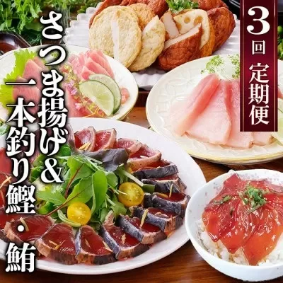 定期便(半年で3回)さつま揚げ&鮮度抜群な一本釣りかつお・まぐろ　LL-6007【1462810】ふるさと納税 定期便 カツオ タタキ マグロ ビンチョウ鮪 タレ付き さつま揚げ 刺身 海鮮丼 鹿児島県