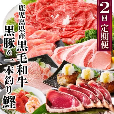 定期便(2回配送)鹿児島県産黒毛和牛・豚肉・一本釣りかつおDD-6004【1166749】 _ ふるさと納税 定期便 和牛 牛肉 豚肉 カツオ すき焼き しゃぶしゃぶ ハンバーグ 海鮮丼 焼肉 鹿児島県