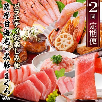 [ふるさと納税]定期便2回配送 お楽しみバラエティ定期便(鹿児島県産黒豚・鮪etc)DD-6008[1486572] _ ふるさと納税 定期便 豚肉 黒豚 カツオ タタキ マグロ 中トロ 赤身 刺身 焼肉 ロース ハンバーグ さつま揚げ
