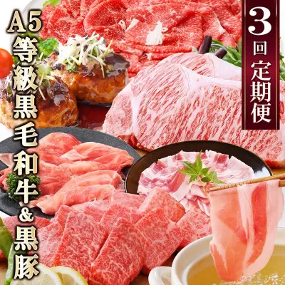 定期便(3回配送)鹿児島産A5等級黒毛和牛&黒豚 EE-6014[1471286]_ ふるさと納税 定期便 牛肉 豚肉 A5等級 黒毛和牛 黒豚 焼肉 サーロイン ステーキ ハンバーグ しゃぶしゃぶ すき焼き