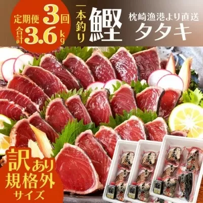 定期便3回配送　半年で3回お届け!!!　＜訳あり＞大きいサイズの鰹たたき　OO-0003【1515044】 ふるさと納税 定期便 カツオ タタキ 枕崎 鹿児島県
