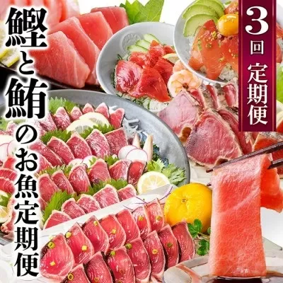 定期便3回配送　鰹とまぐろのお魚定期便　QQ-0005【1543247】