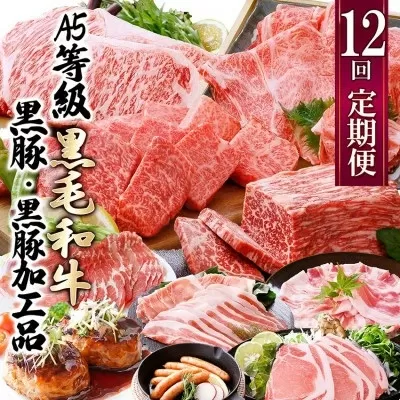 お肉の定期便(12回)枕崎お楽しみ便(A5等級黒毛和牛・黒豚・黒豚加工品etc) KK-6003 【1166746】 _ ふるさと納税 定期便 牛肉 豚肉 霜降り 焼肉 しゃぶしゃぶ 生姜焼き サーロイン ステーキ ハンバーグ ソーセージ